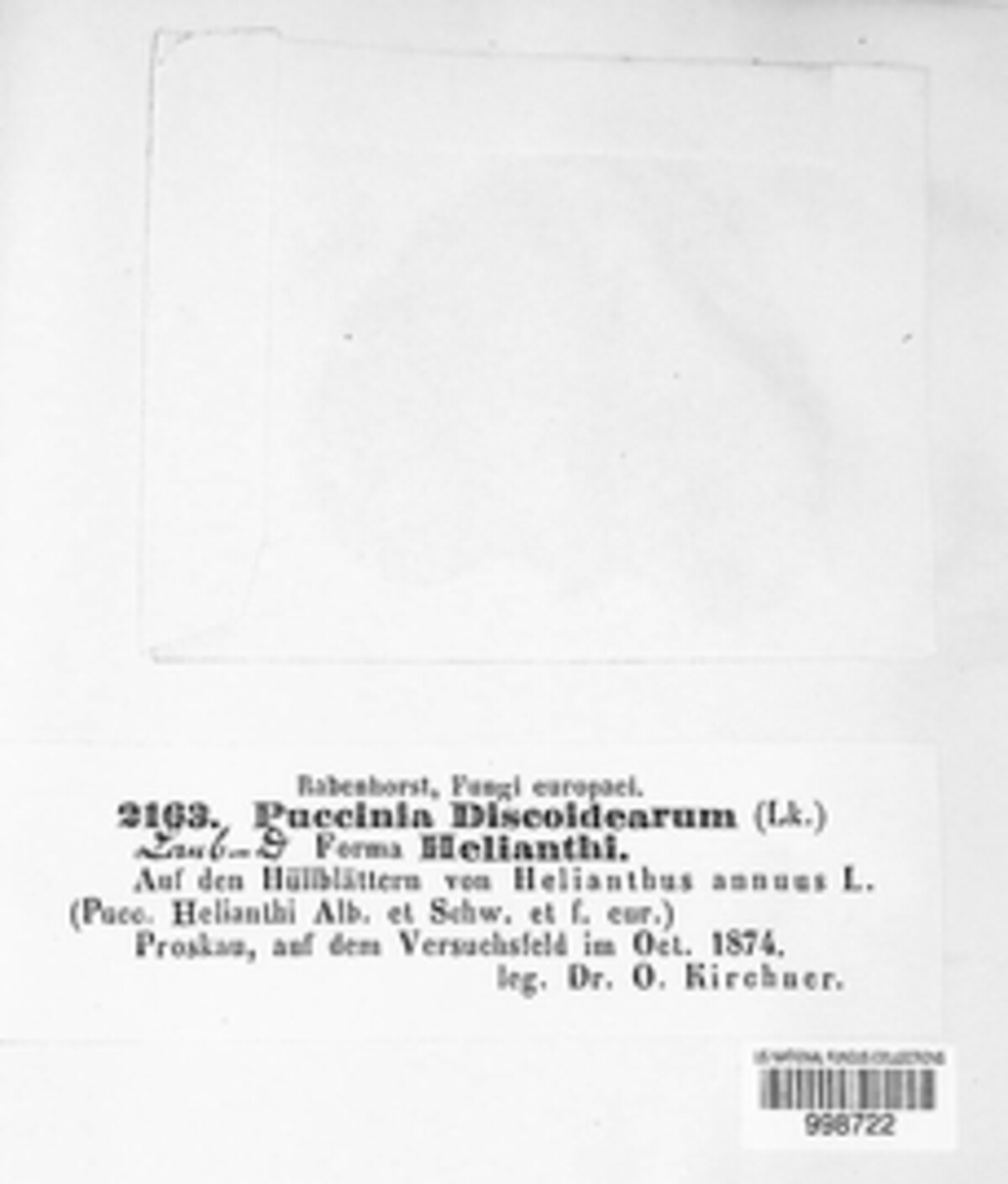 Puccinia discoidearum image